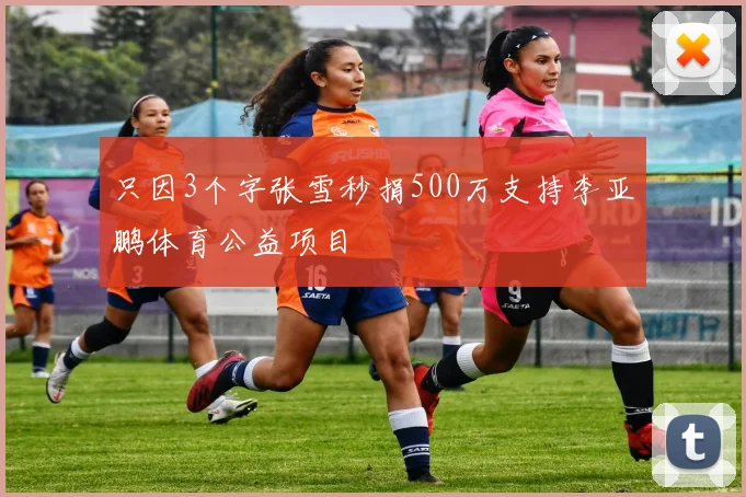 只因3个字张雪秒捐500万支持李亚鹏体育公益项目