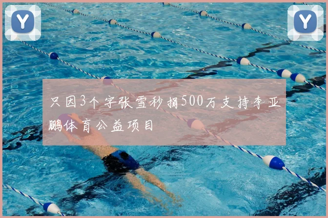 只因3个字张雪秒捐500万支持李亚鹏体育公益项目